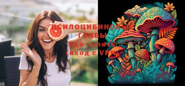 соль ск Волосово