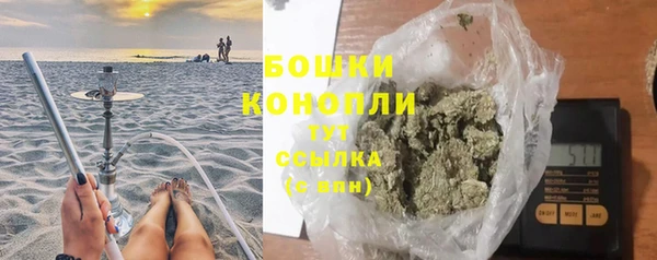 соль ск Волосово