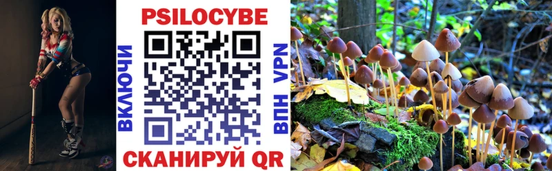 наркота  Жуков  Псилоцибиновые грибы ЛСД 